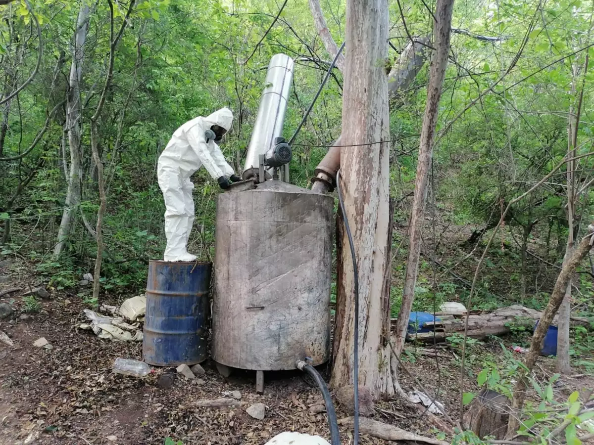 laboratorios en sinaloa 