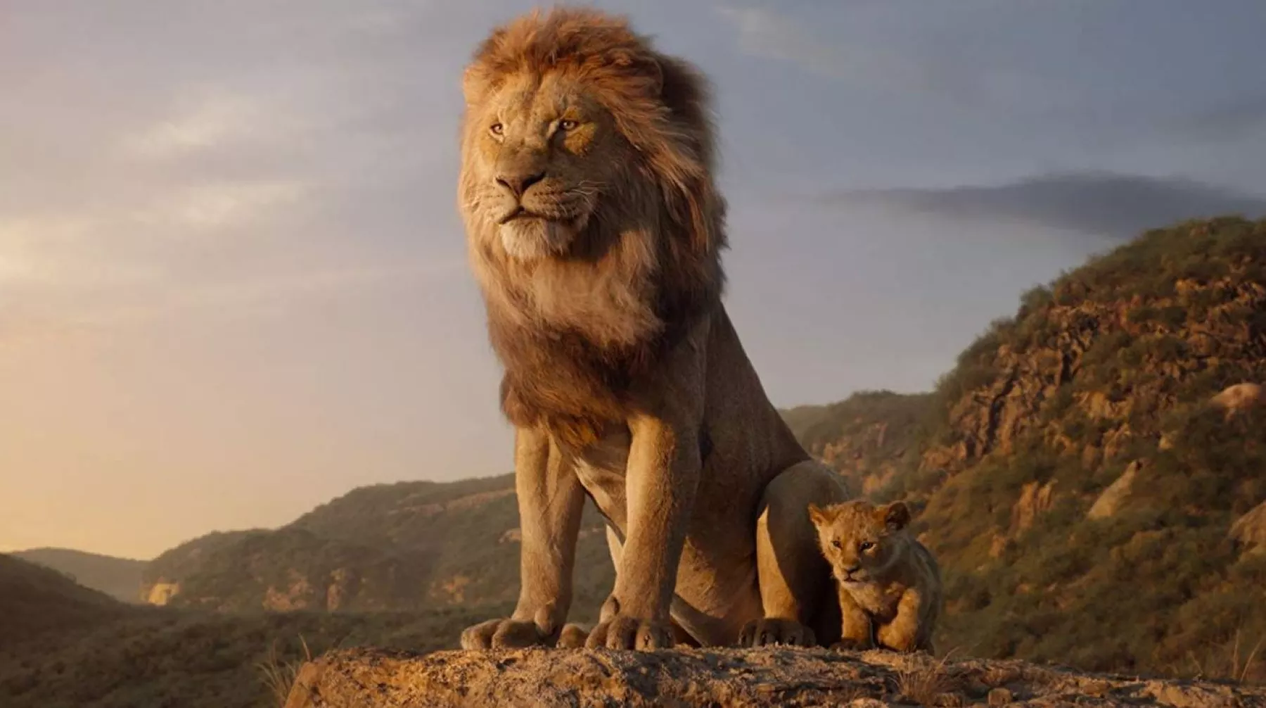 The Lion King