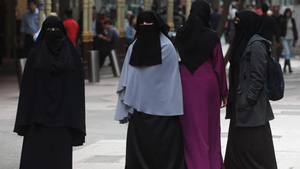 francia burka