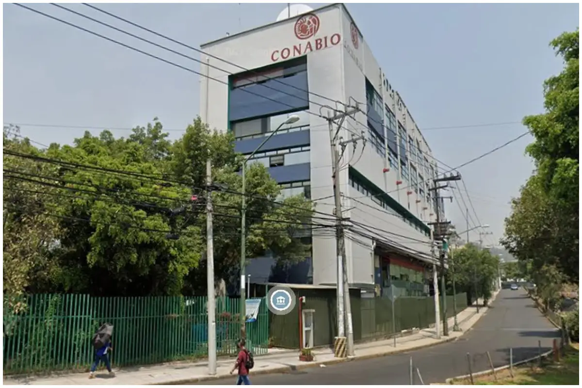 Oficinas Conabio