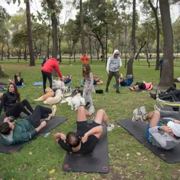 Clase outdoor y pet friendly