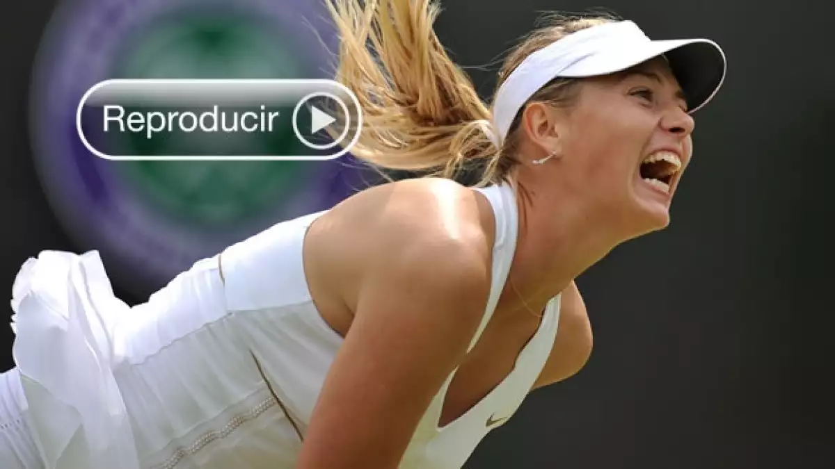 sharapova