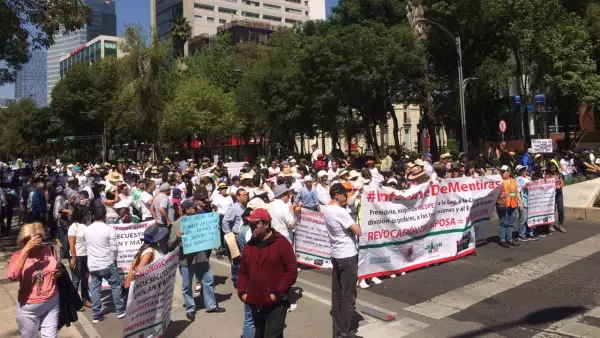 Marcha Antiamlo.jpeg