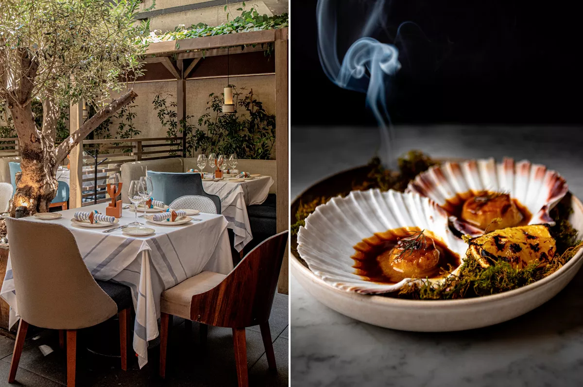 Restaurante Zeru Lomas en CDMX