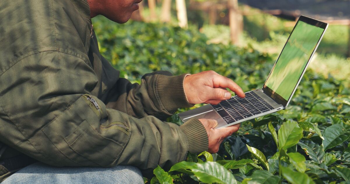 Meksika'da bağlantı için ne anlama geliyor?