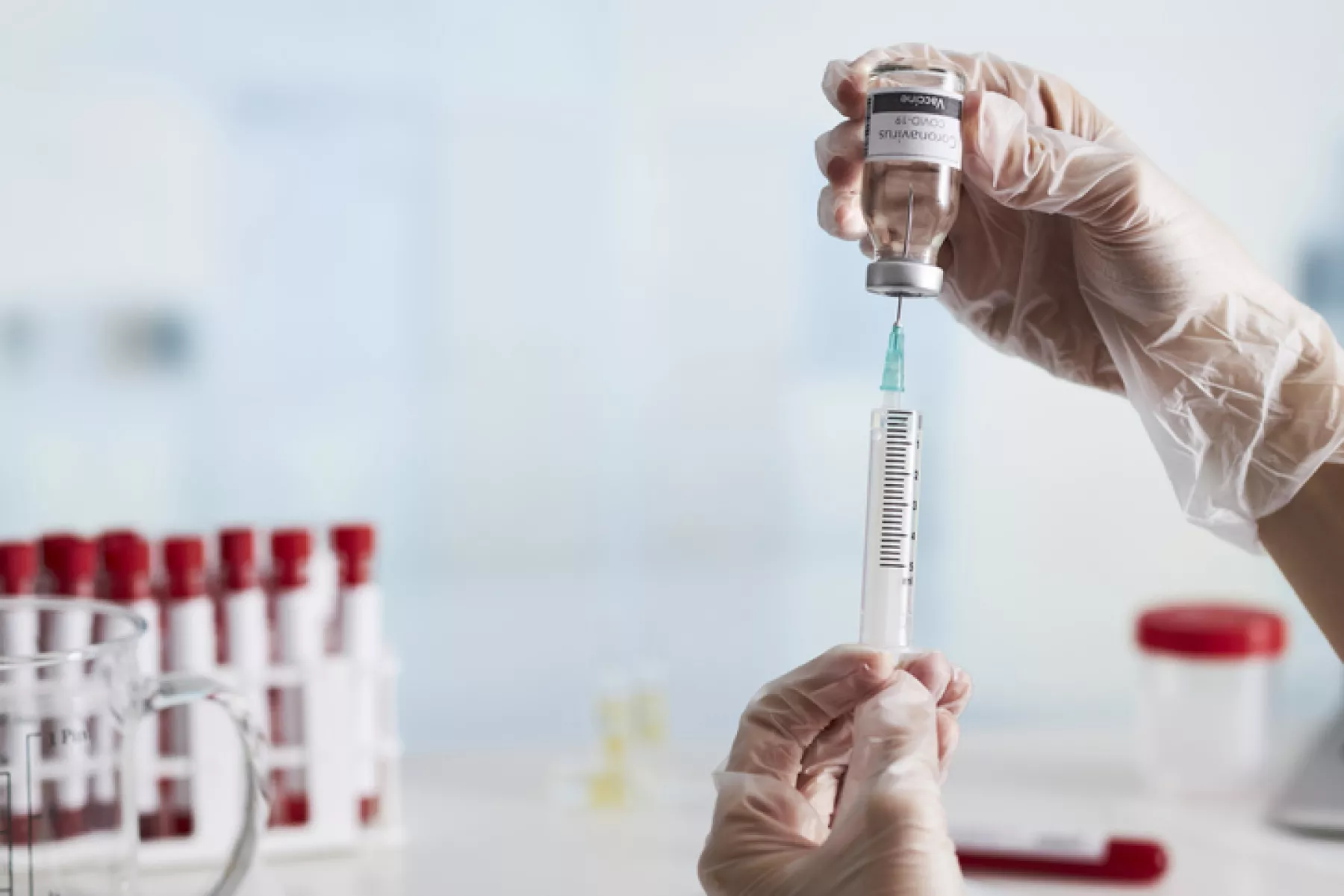 The doctor prepares the syringe with the cure for vaccination.