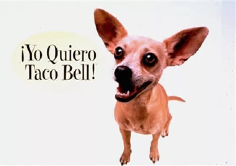 Gidget tuvo un papel en la película Legalmente rubia II.