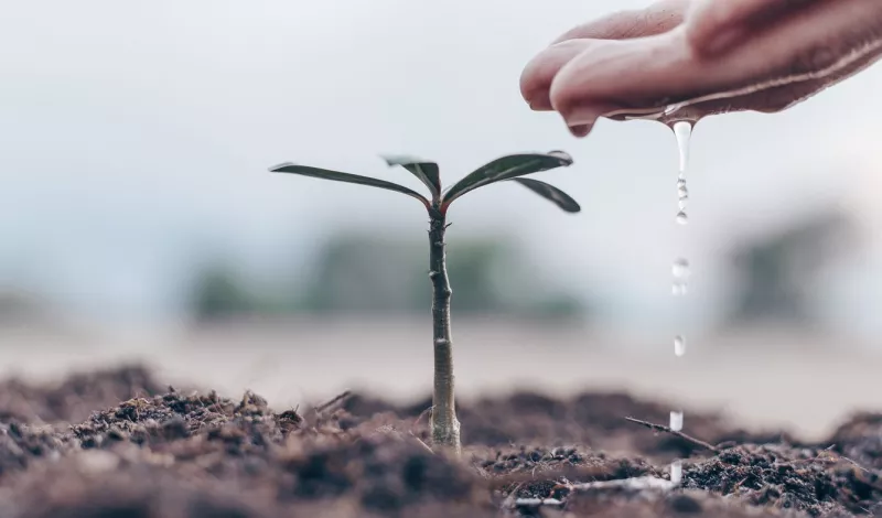 Tecnología, un paso adelante para la gestión del agua en el sector agrícola
