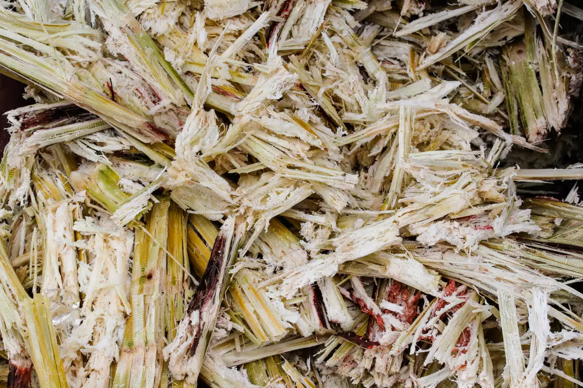 Transporte más caro.