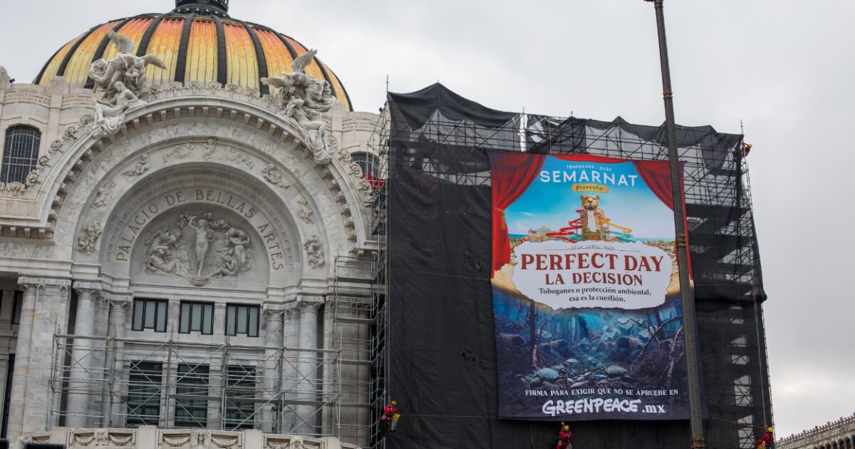 Gobierno de Sheinbaum rechaza proyecto “Perfect Day” de Royal Caribbean en Mahahual

El megaproyecto contemplaba cimentaciones profundas, alteración de manglares y riesgos para el sistema kárstico y el acuífero del que depende Mahahual.