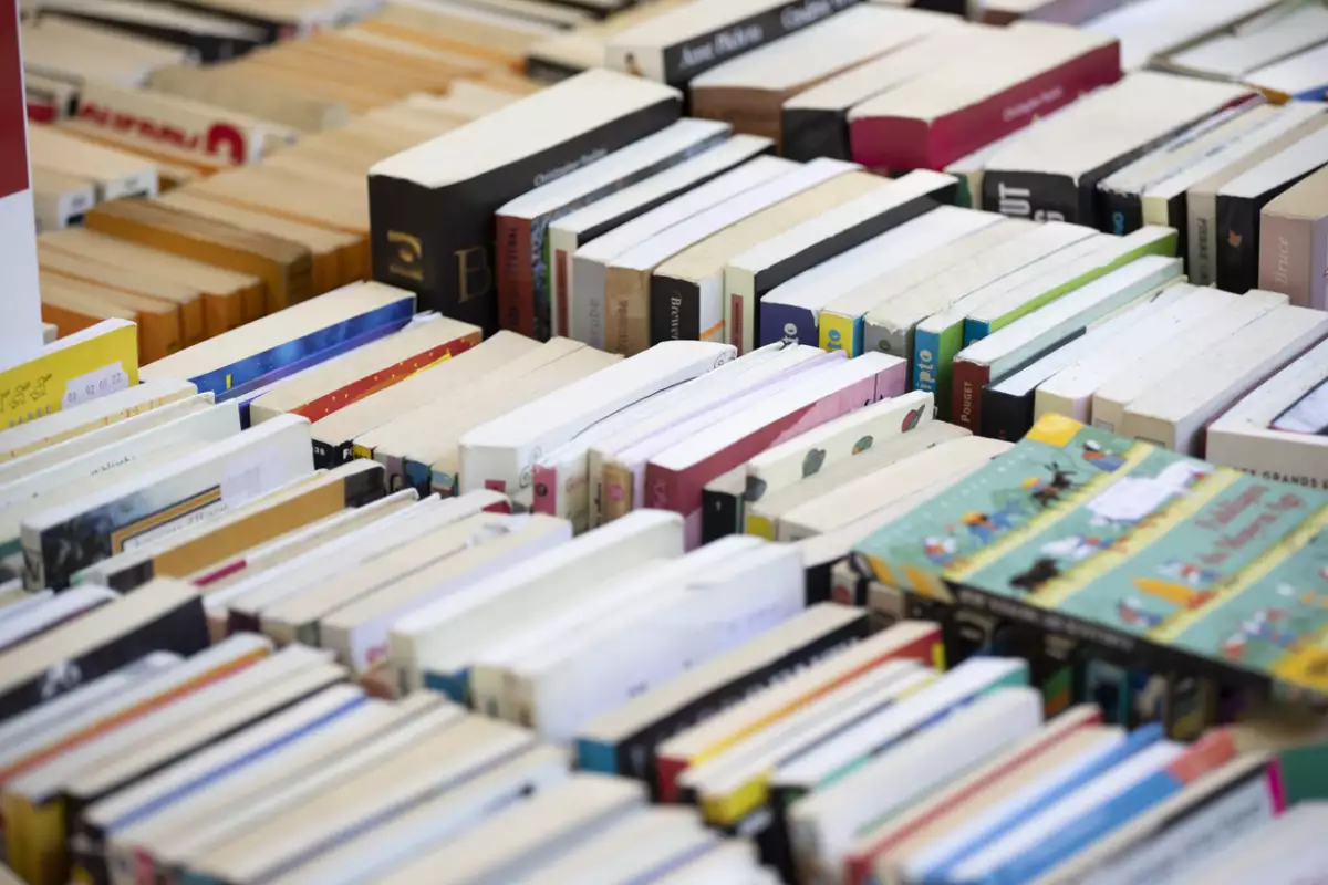 imagen de una hilera cinco hileras de libros uno tras otro en una librería.