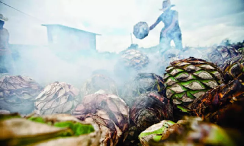 Bacardí es la única entre las grandes compañías que ha adoptado al mezcal entre sus portafolio de bebidas. (Foto: Daniel Robles)