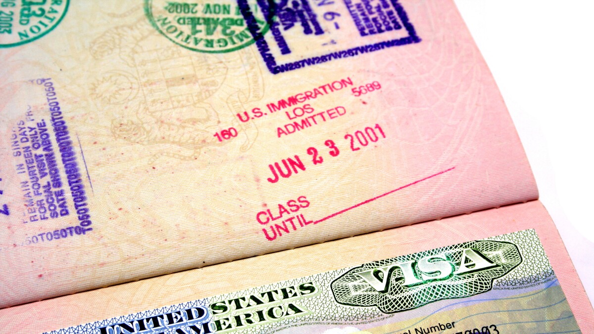 Cuánto Tiempo Se Tarda En Llegar La Visa