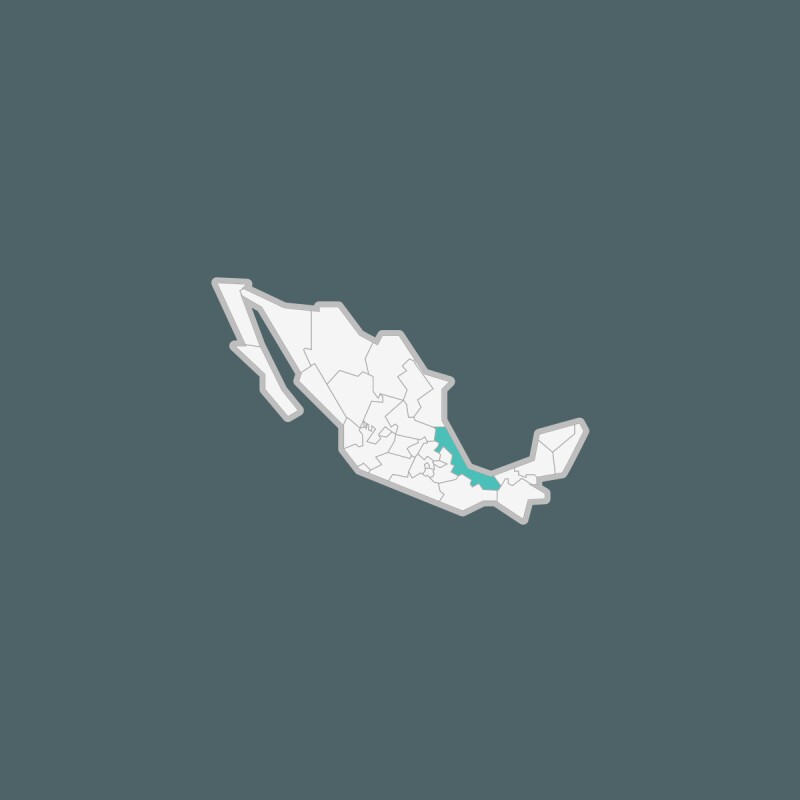 Veracruz es uno de los estados más peligrosos de México para ejercer el periodismo. (Foto: Google Maps)