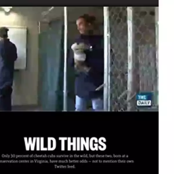 murdoch apple tablet contenido