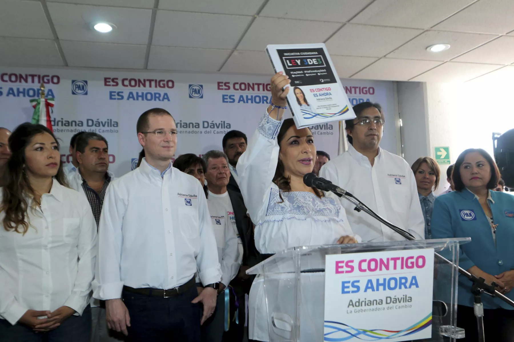 Partido Acción Nacional