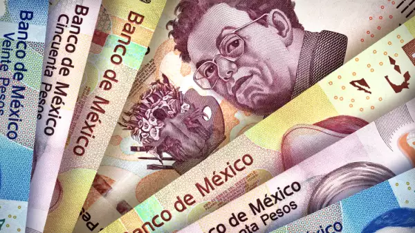 Financiamiento, en contraste