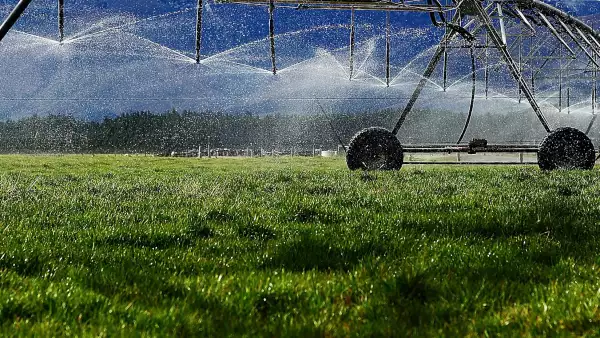 agua exportaciones 