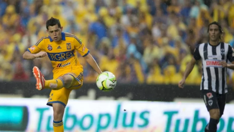 tigres