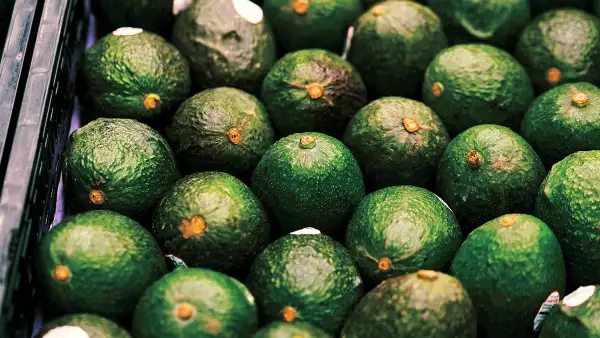 Precio Aguacate