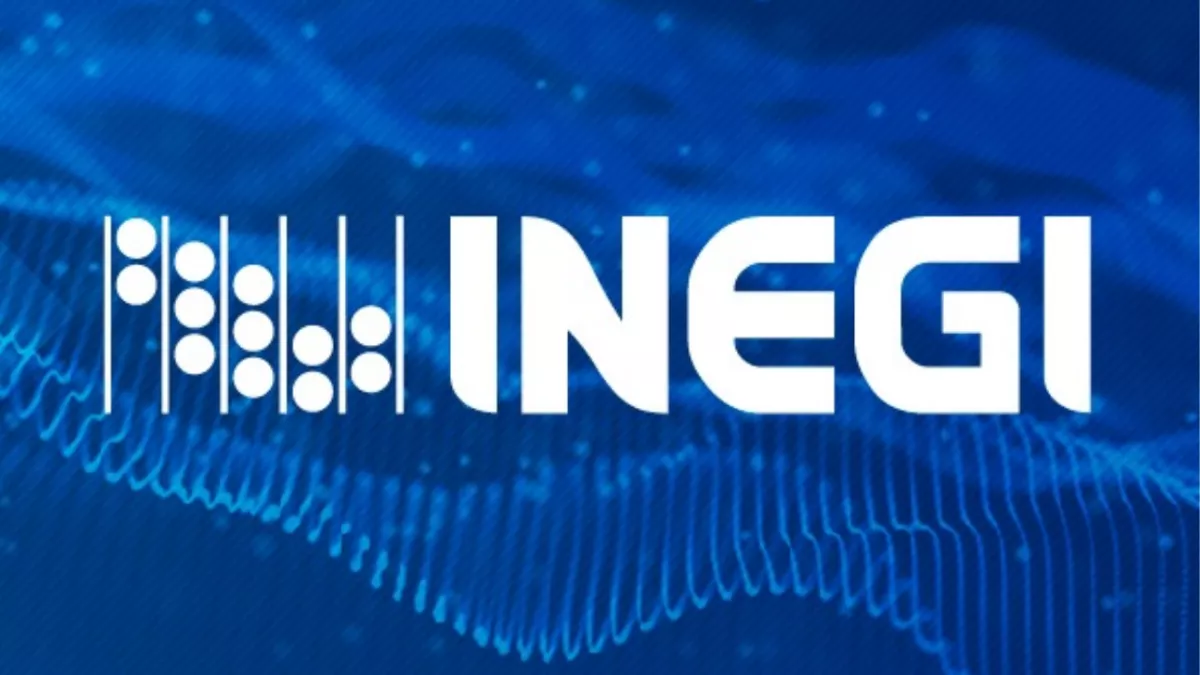 inegi datos en accion.png