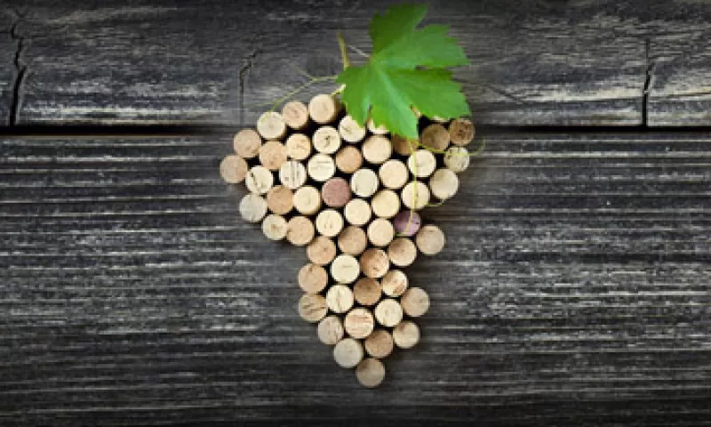 La Universidad de Enología de Pensilvania, Estados Unidos, concluyó que la sensibilidad de los catadores está en una expresión del gen TAS2R38, el cual nos predispone a percibir algunos sabores amargos específicos del vino. (Foto: Getty Images)