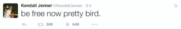 Kendall mostró el apoyo a su papá a través de un tuit y le pidió ser libre.