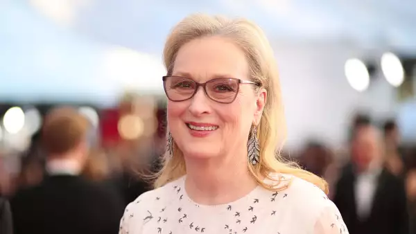 The 23rd Annual Screen Actors Guild Awards - Red Carpet