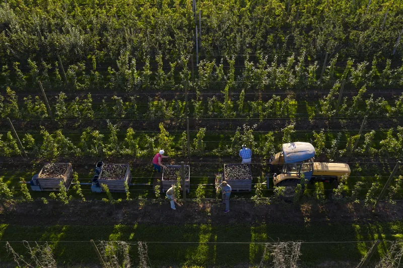 agro campo economía méxico