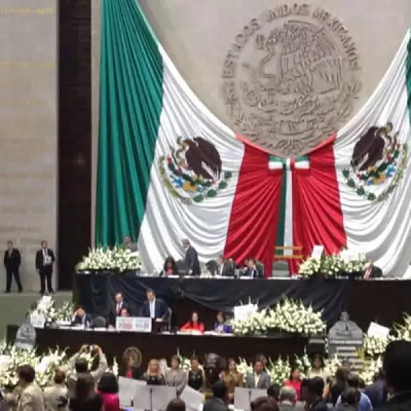 Los legisladores del PRD llenaron de flores blancas la tribuna del Salón de Plenos de la Cámara de Diputados durante la discusión de los dictámenes enviados por el Senado.