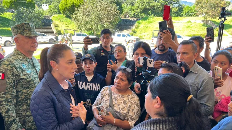 Shienbaum acude a Puebla