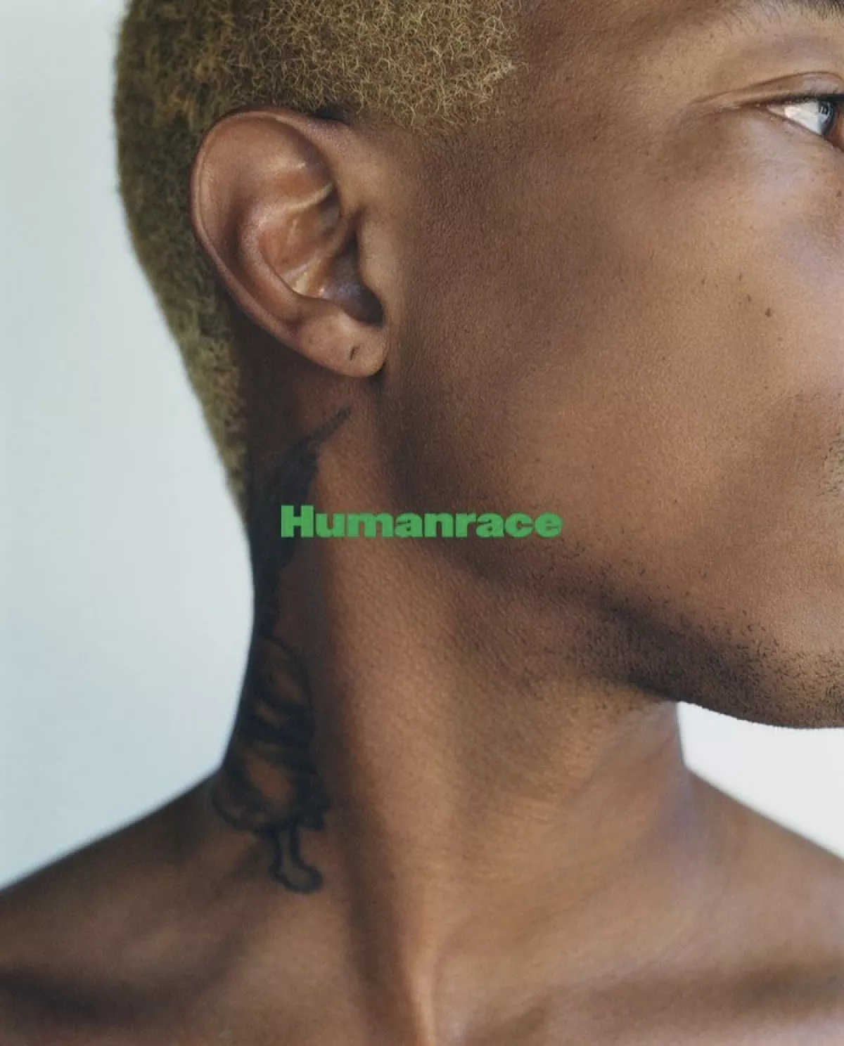 Pharrell (Pharrell / Instagram) 