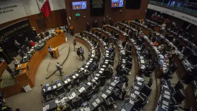 En la imagen se ve una sesión del Senado. 