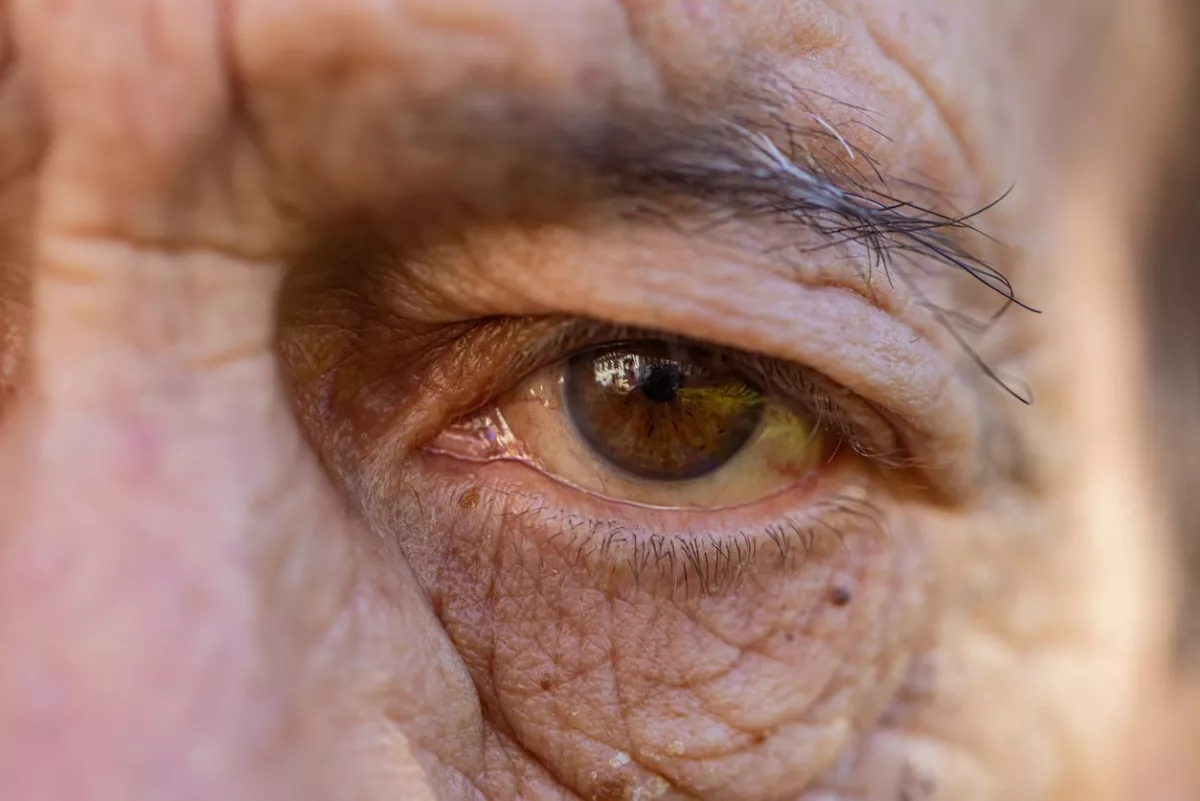 #ColumnaInvitada | Edadismo