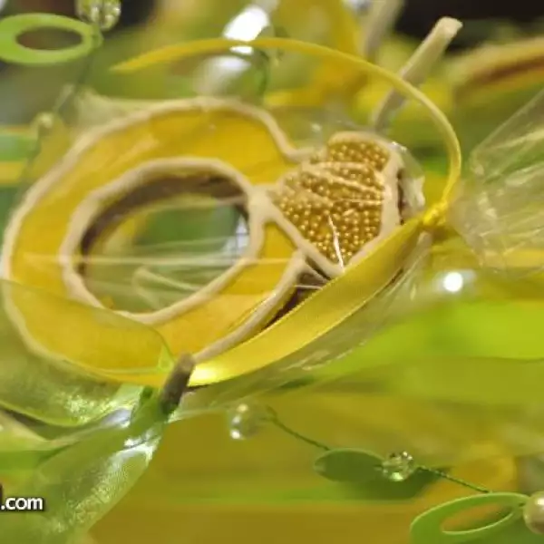 Bienvenida y Fiesta de compromiso