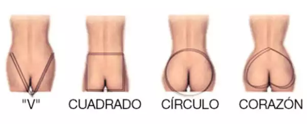 Y tú, ¿ya sabes lo que debes consumir o evitar de acuerdo a tu booy?