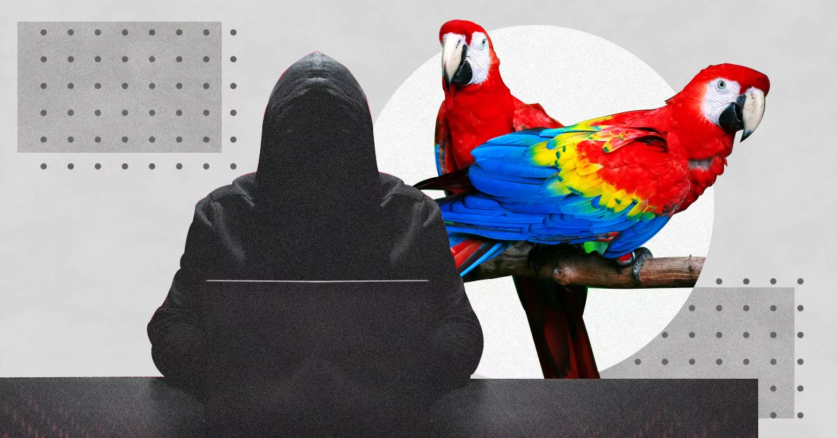 ¿Quiénes son Los ‘Guacamaya’? Los hackers que han atacado otros gobiernos en AL