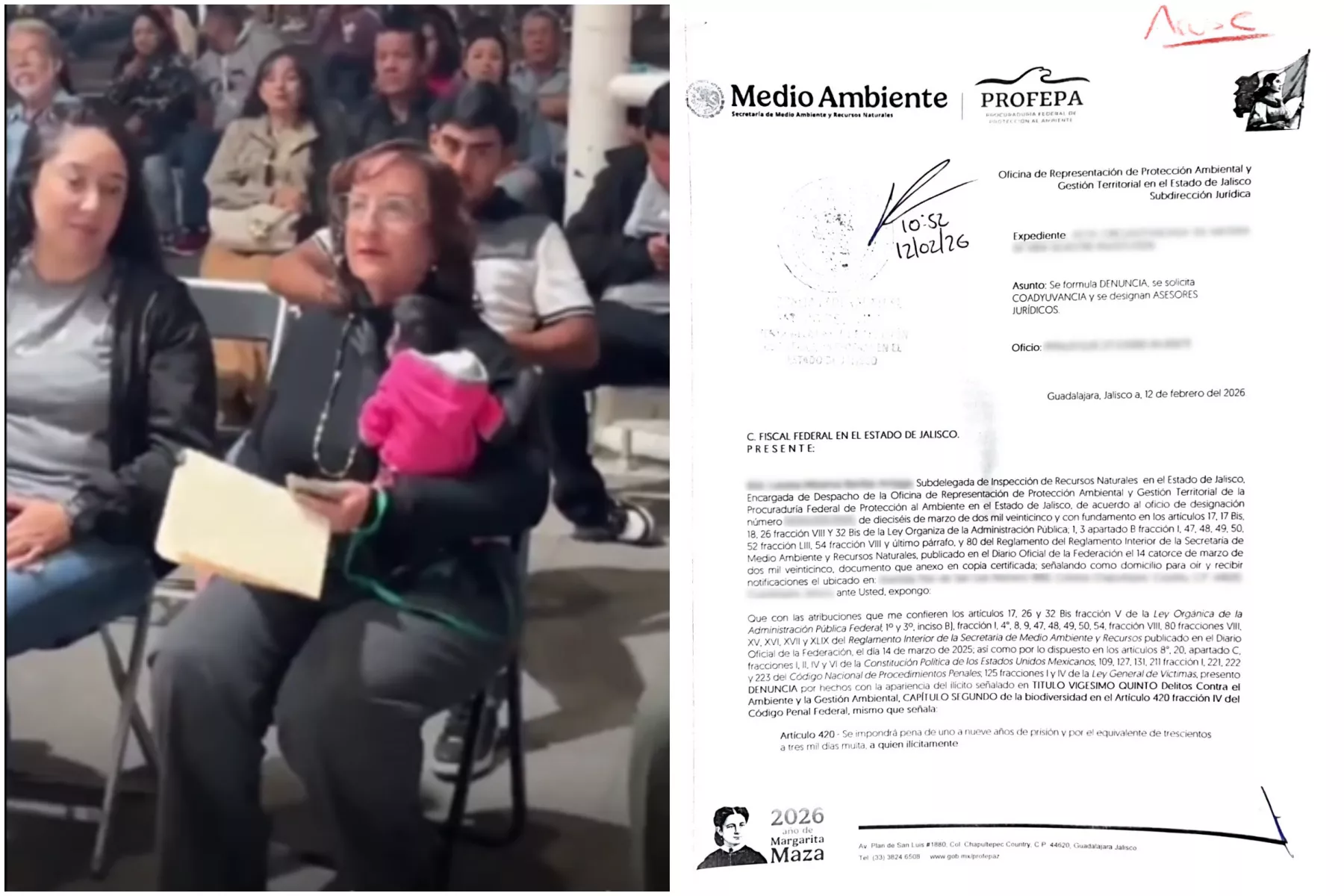 denuncia regidora mono araña