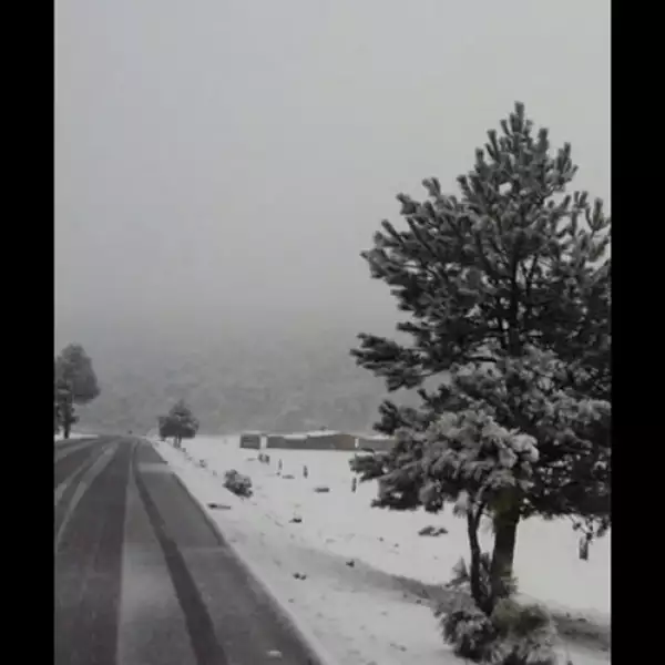 La nevada inició alrededor de las 8:00 horas de este miércoles.