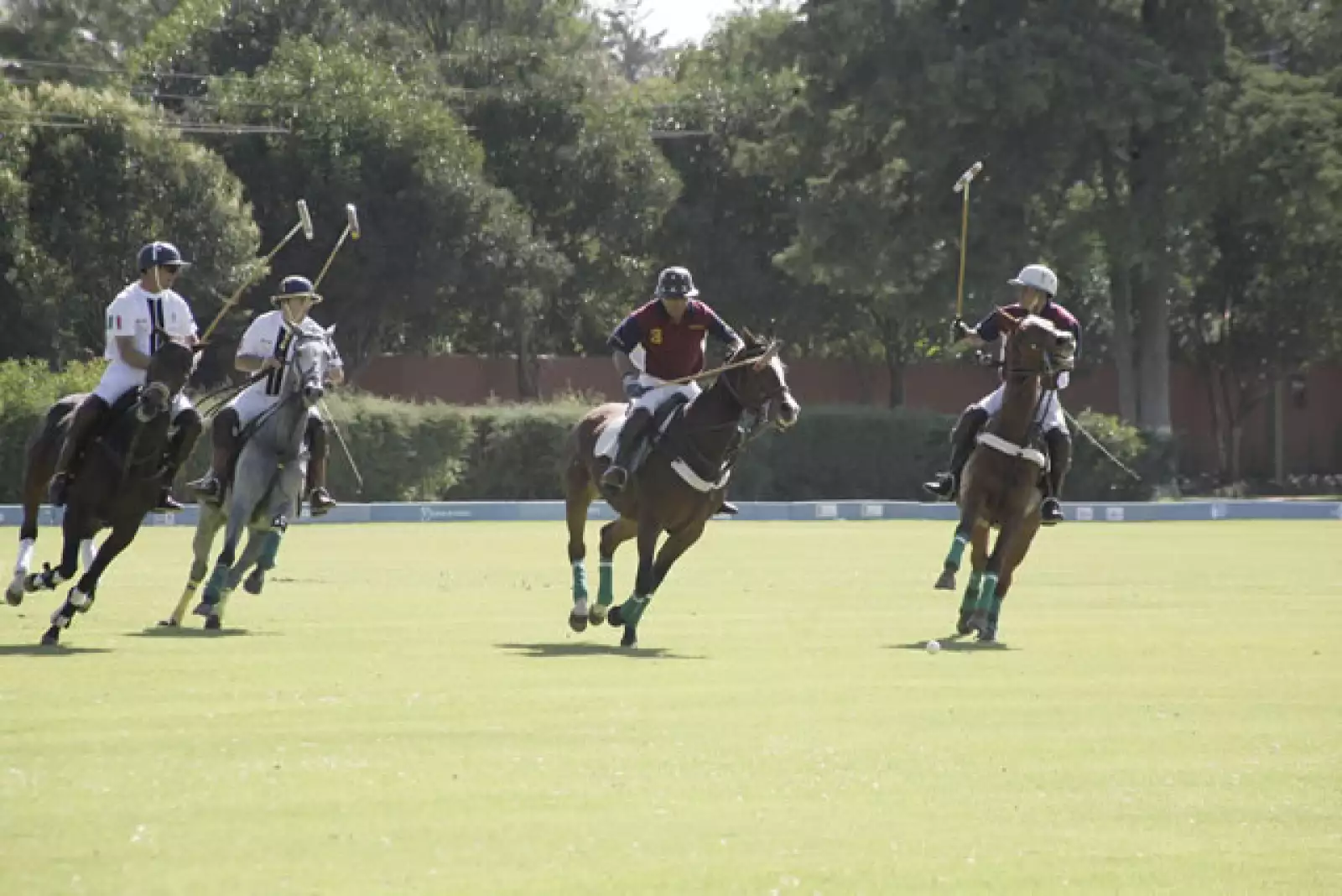 Torneo de Polo