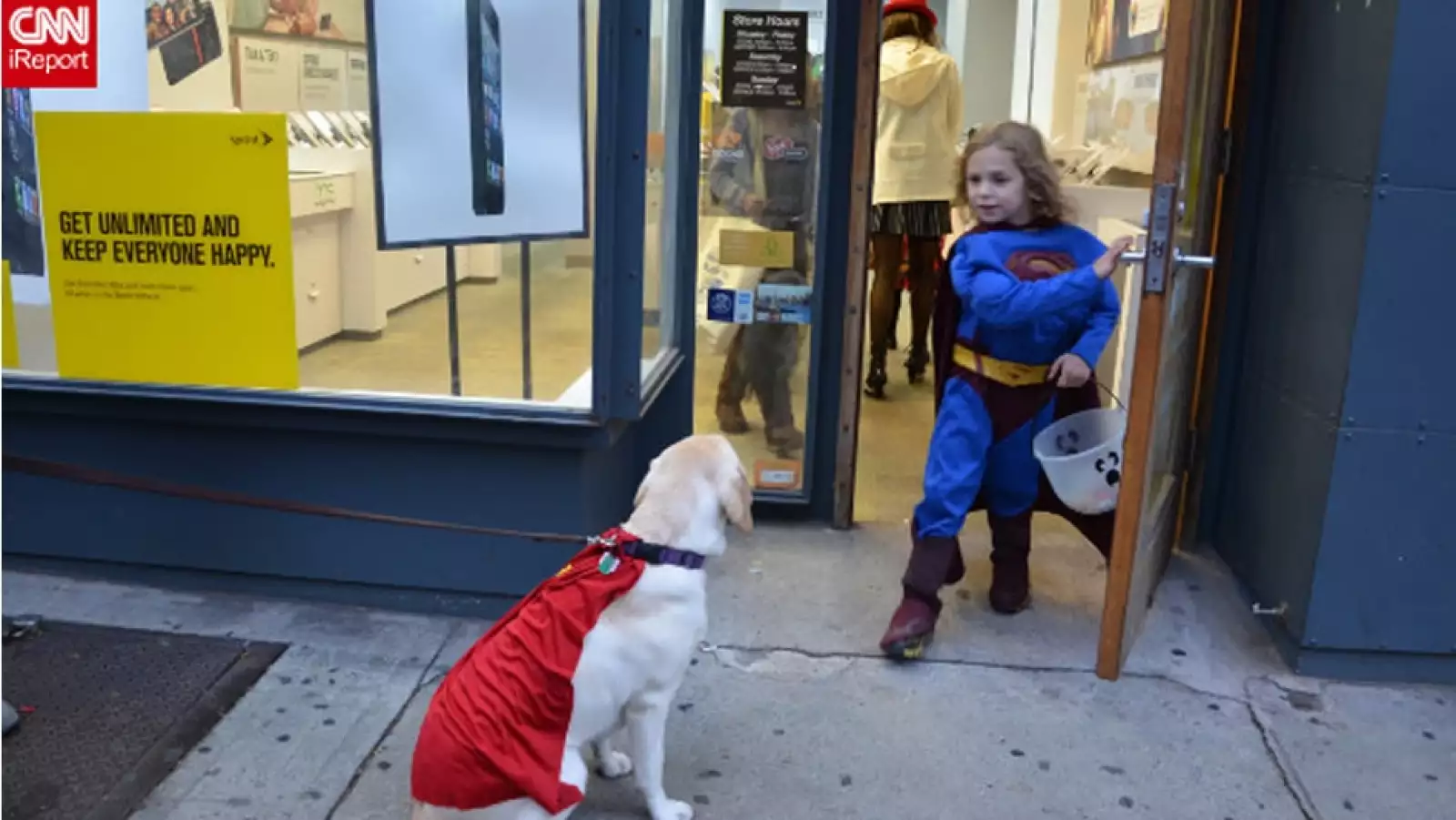 perros disfraz Halloween