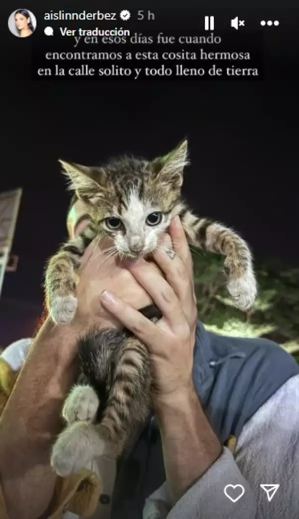 aislinn-derbrez-gato