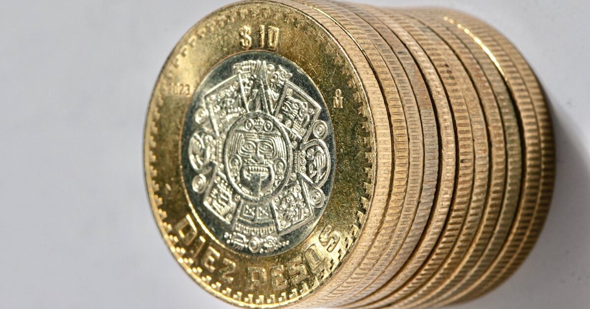 ADIÓS ALPACA: ¡NUEVO ACERO PARA BILLETES DE 10 PESOS!