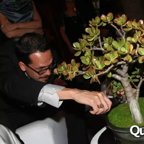 Boda Paulina Gómez Riebeling y Adrián Guerrero Castellanos