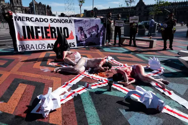 protesta-animales-mercado-sonora