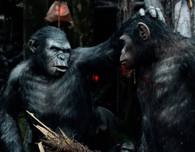 planeta de los simios