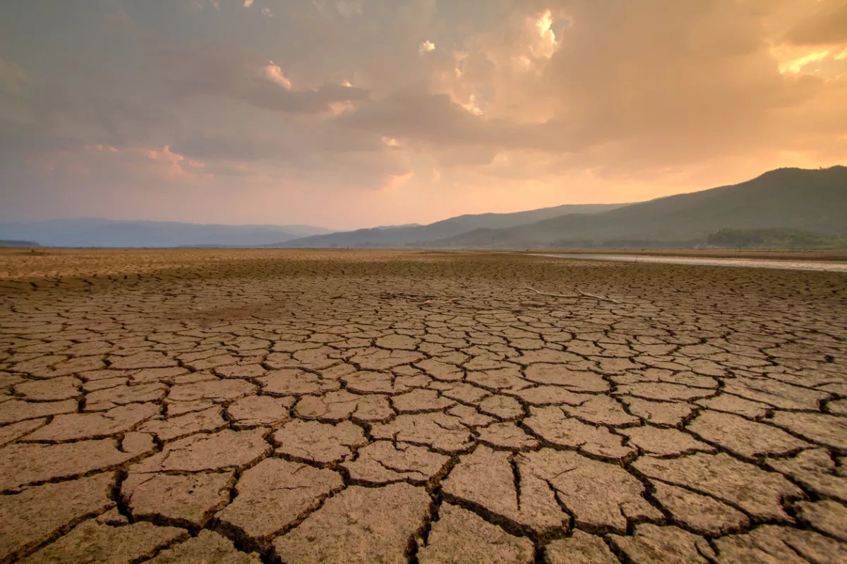 Drought impact Africa