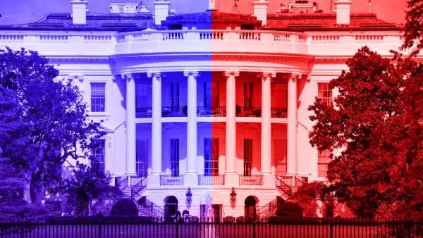 big tech-trump-harris