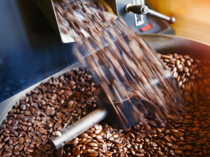 Nestlé promete que su nueva planta de café en Veracruz