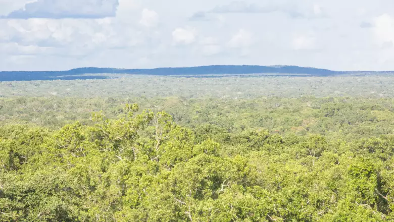 Así es en la actualidad la zona donde se construirá la Estación Calakmul